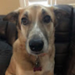 Meet your Posher, Maddie